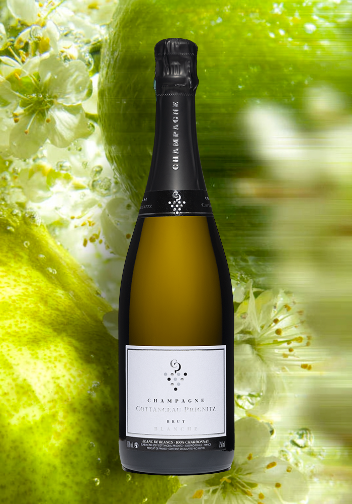 Champagne BRUT Blanche
